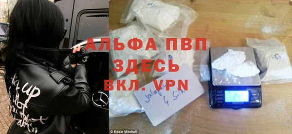 прущие грибы Няндома