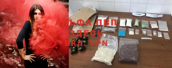 прущие грибы Няндома