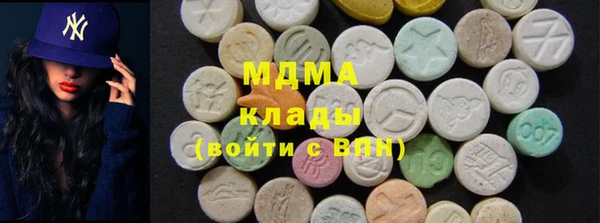 прущие грибы Няндома