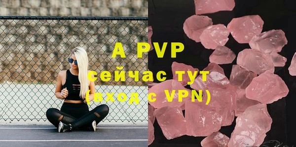 прущие грибы Няндома