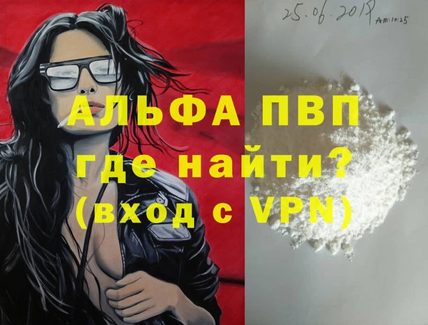 прущие грибы Няндома