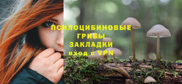 прущая мука Остров