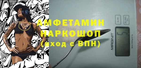 прущие грибы Няндома